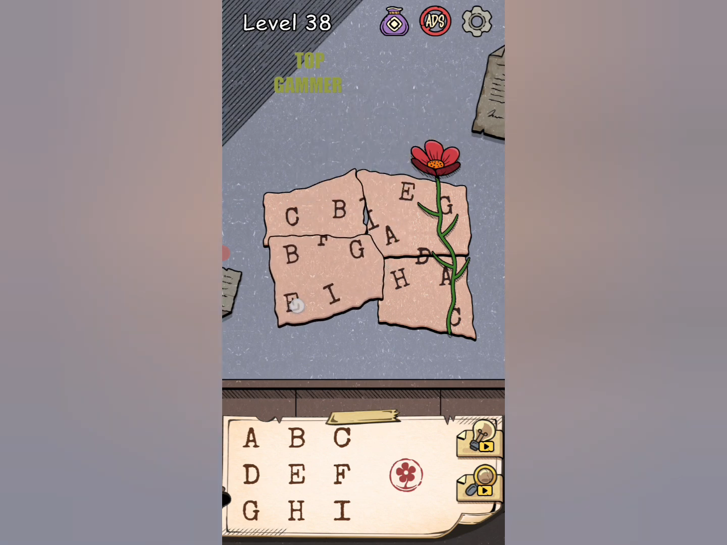 Flower Forest Word Puzzle level 38 Gameplay walkthrough solution Step 3