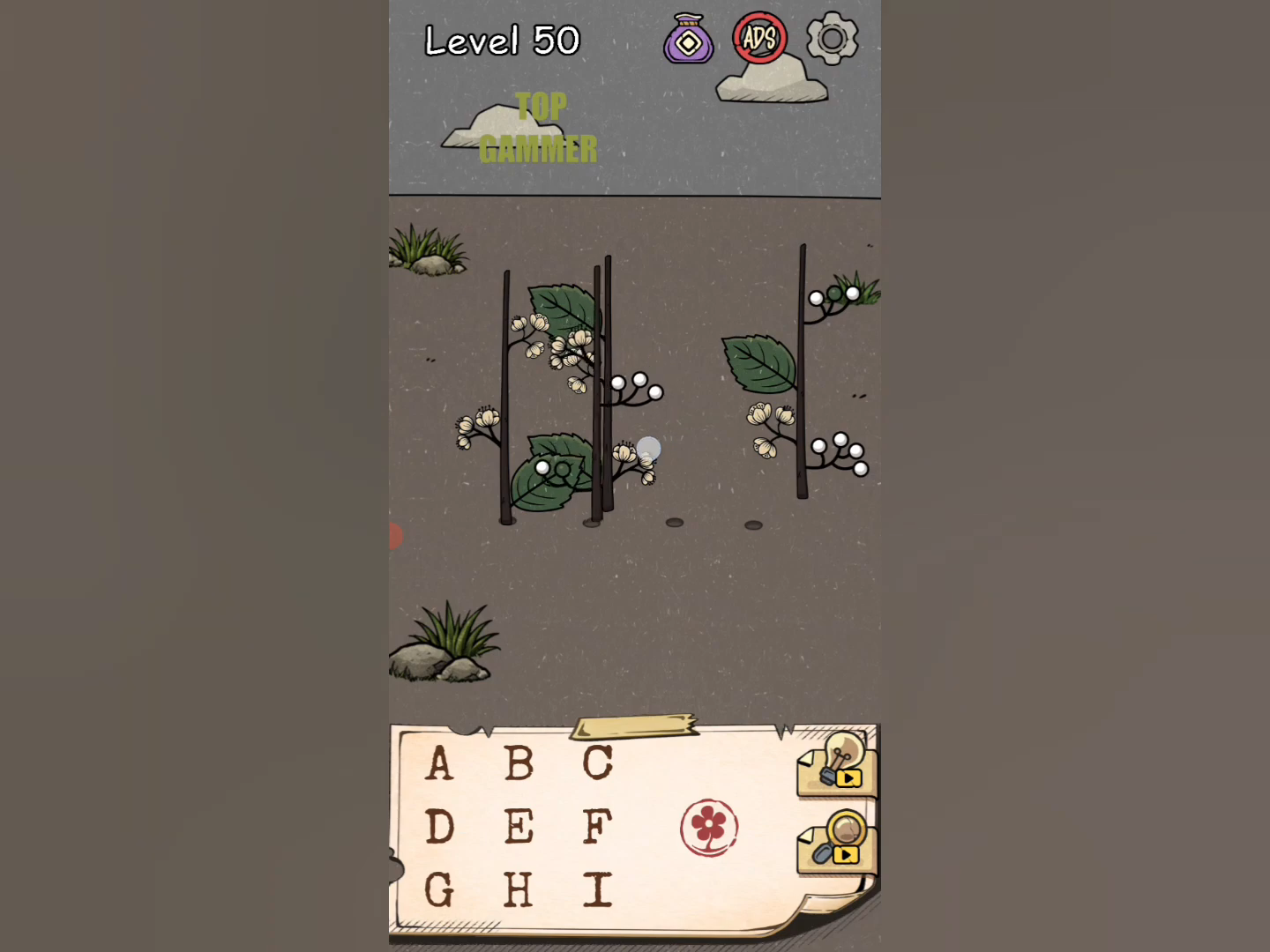 Flower Forest Word Puzzle level 50 Gameplay walkthrough solution Step 1