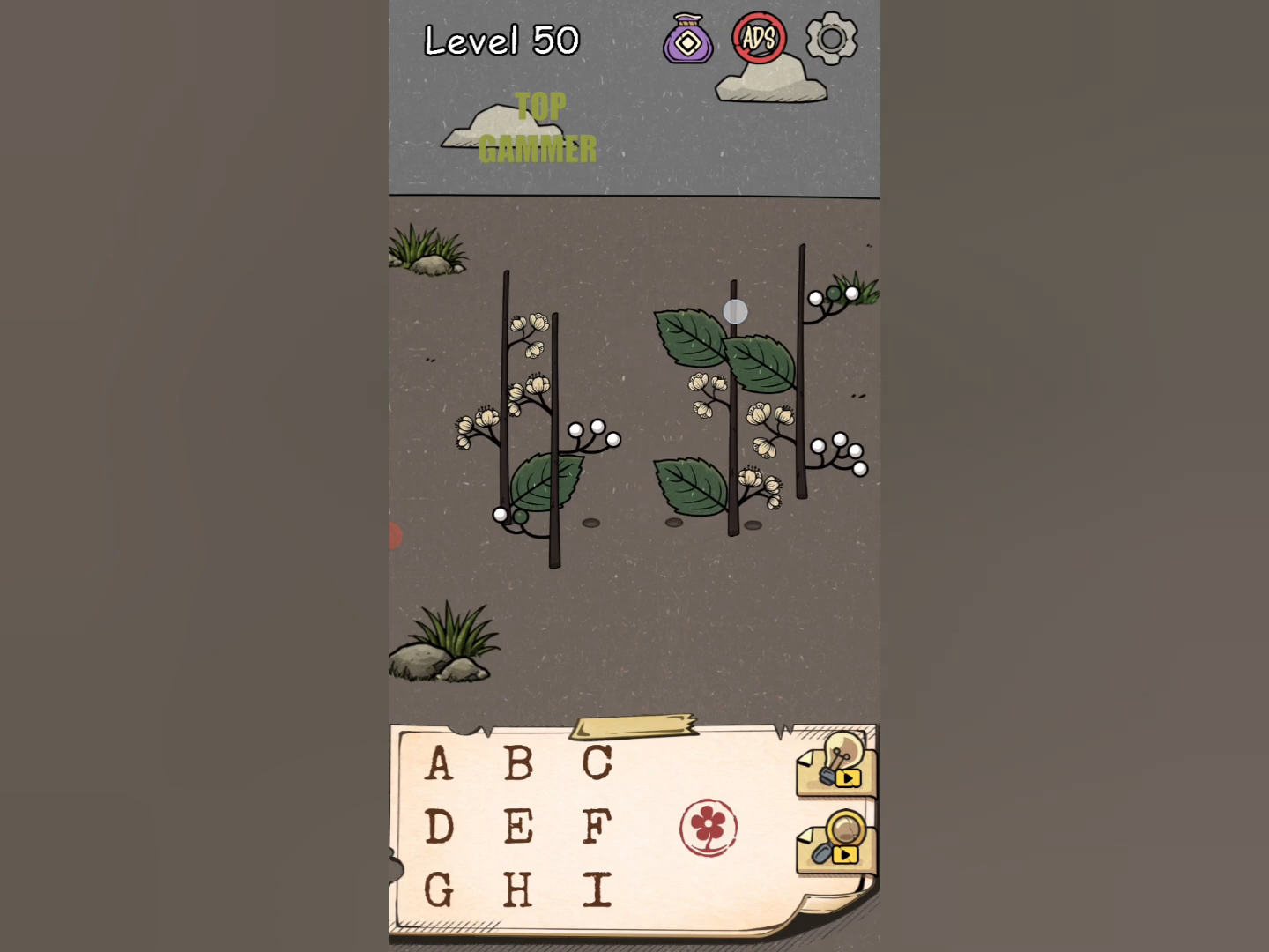Flower Forest Word Puzzle level 50 Gameplay walkthrough solution Step 2