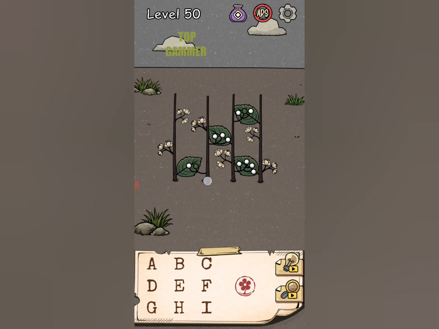 Flower Forest Word Puzzle level 50 Gameplay walkthrough solution Step 3